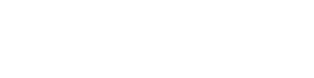 Mis Flotillas